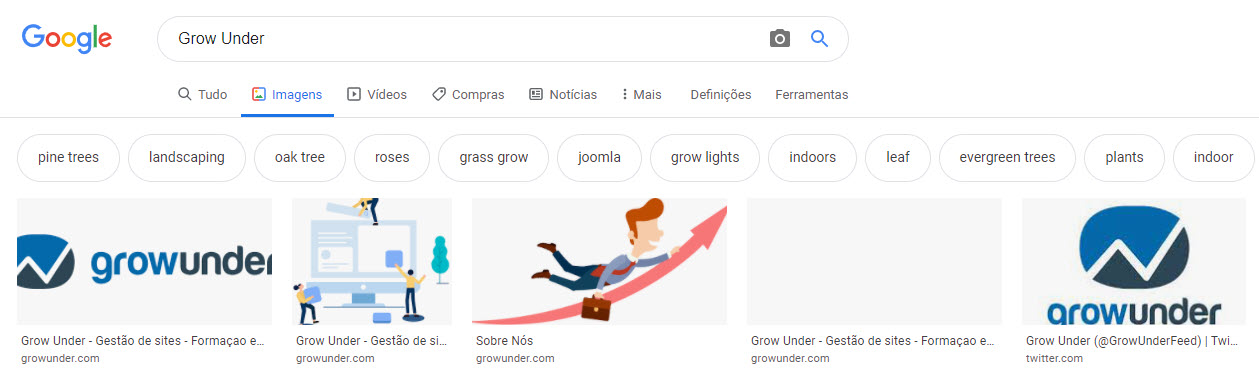 Google Imagens 1 Pesquisa Por keyword
