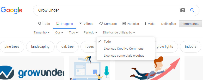 Google Imagens 10 Direitos Uso
