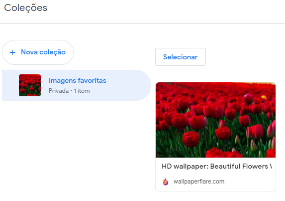 Google Imagens 13 Colecoes