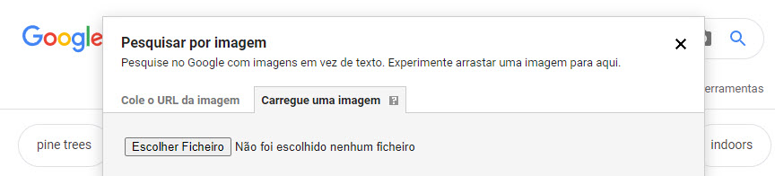 Google Imagens 4 Pesquisa Por Upload Imagem