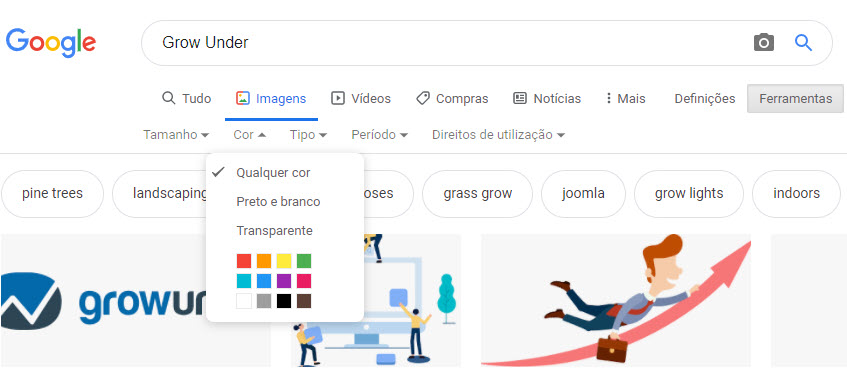 Google Imagens 7 Cor