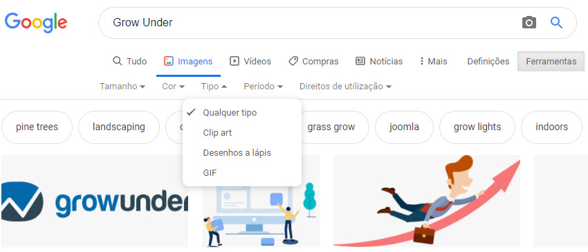 Google Imagens 8 Tipo